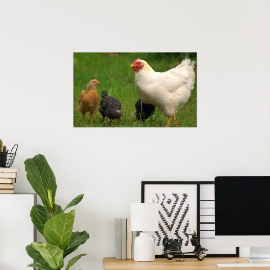 Poster Poulets (Bureau à domicile)