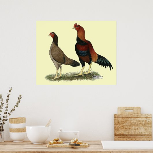 Poster Poulets à roue d'Aseel (Cuisine)