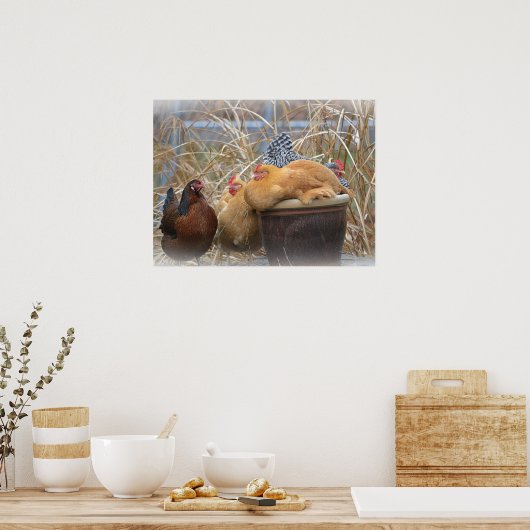 Poster Poulets amusants (Cuisine)