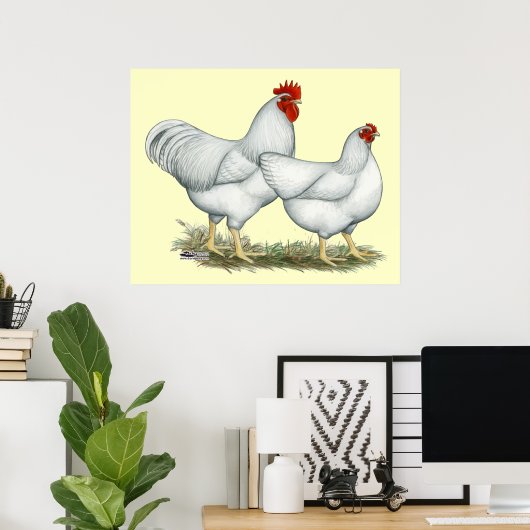 Poster Poulets blancs (Bureau à domicile)