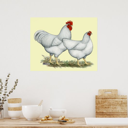 Poster Poulets blancs (Cuisine)