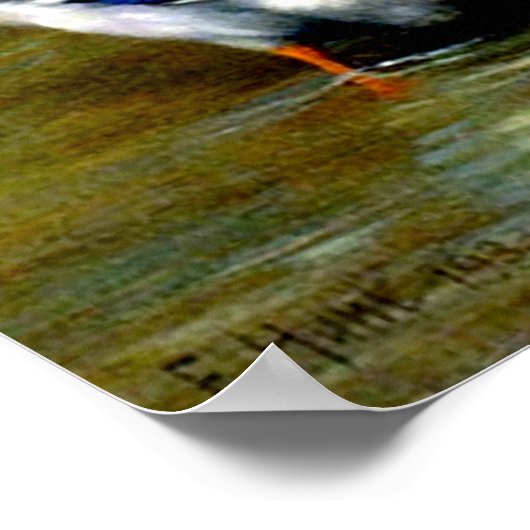 Poster Poulets, Canards Et Canards À La Ferme (Coin)