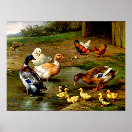 Poster Poulets, Canards Et Canards À La Ferme (Devant)