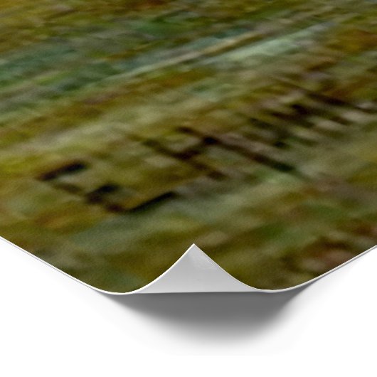 Poster Poulets, Canards Et Canards À La Ferme (Coin)