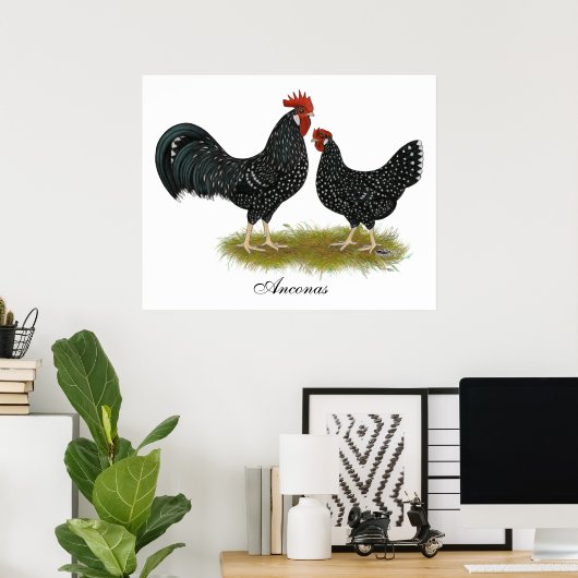 Poster Poulets d'Ancône (Bureau à domicile)