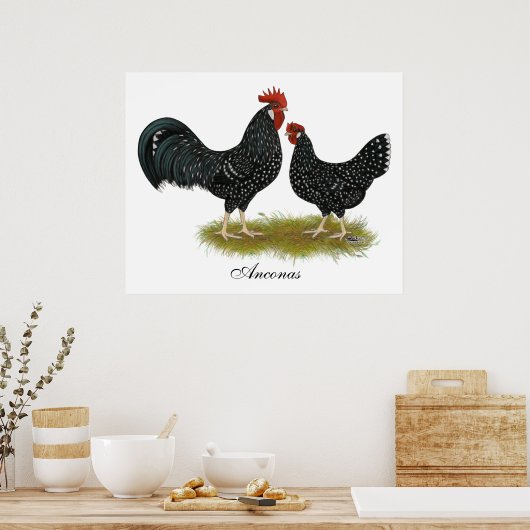 Poster Poulets d'Ancône (Cuisine)