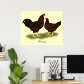 Poster Poulets de Buckeye (Bureau à domicile)
