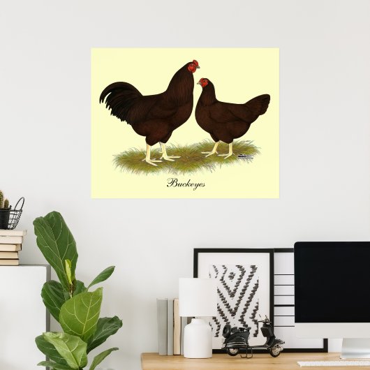 Poster Poulets de Buckeye (Bureau à domicile)
