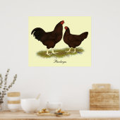 Poster Poulets de Buckeye (Cuisine)