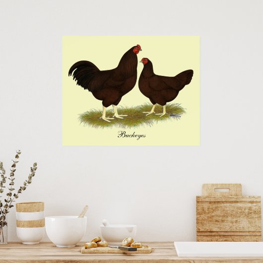 Poster Poulets de Buckeye (Cuisine)