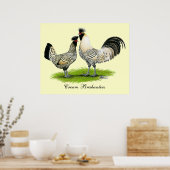 Poster Poulets de crème Brabanter (Cuisine)