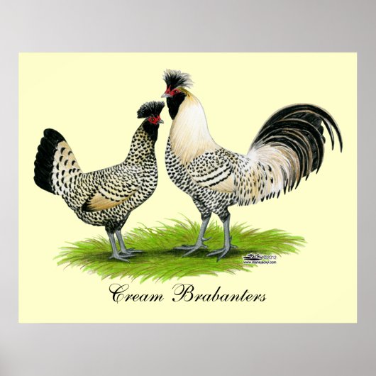 Poster Poulets de crème Brabanter (Devant)