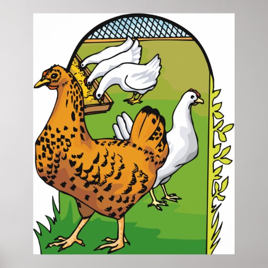 Poster Poulets de ferme (Devant)