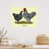 Poster Poulets de Maline (Cuisine)