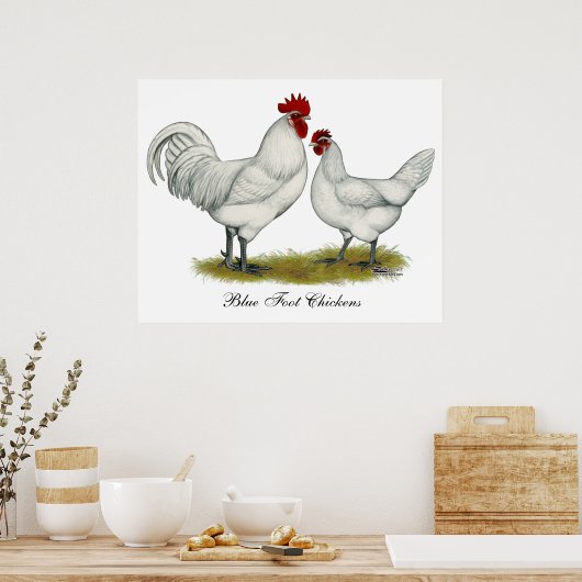 Poster Poulets de pieds bleus (Cuisine)