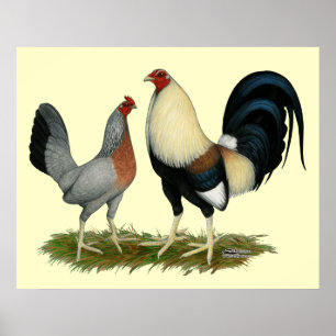 Poster Poulets dorés