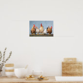 Poster Poulets et coqs sur un mur (Cuisine)