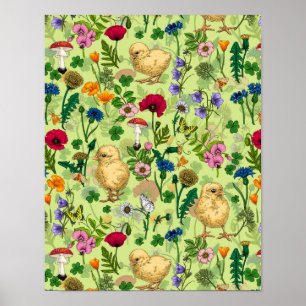 Poster Poulets et fleurs sauvages sur le vert de rosée mi