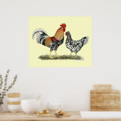 Poster Poulets islandais (Cuisine)