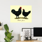 Poster Poulets Java noirs (Bureau à domicile)