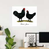 Poster Poulets Java noirs (Bureau à domicile)