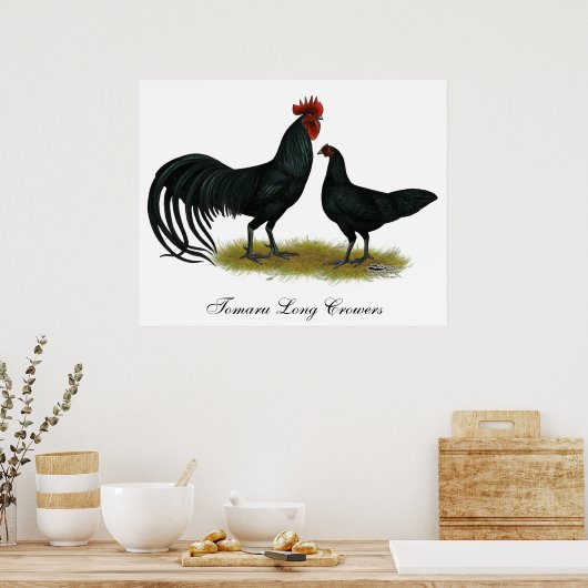 Poster Poulets longs de tomaru Crowier (Cuisine)
