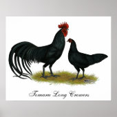 Poster Poulets longs de tomaru Crowier (Devant)