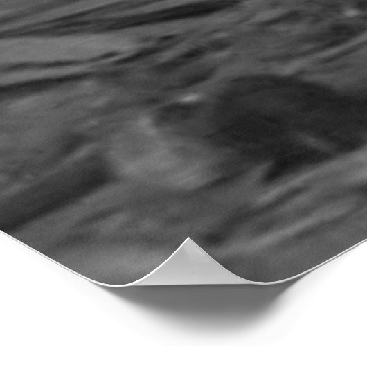 Poster Poulets noirs et blancs en soie avec poulets jaune (Coin)