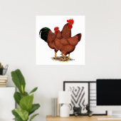 Poster Poulets rouges de production (Bureau à domicile)