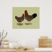 Poster Poulets Sussex Speckés (Cuisine)