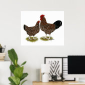 Poster Poulets Sussex Speckés (Bureau à domicile)