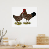 Poster Poulets Sussex Speckés (Cuisine)