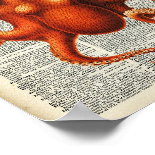 Poster poulpe (Coin)