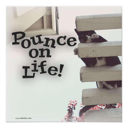 Poster Pounce On Life Motivational Kitty Slogan (Devant)