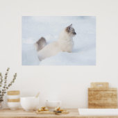 Poster Poupée dans l'affiche de neige (Cuisine)