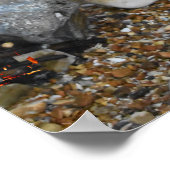 Poster Poupées préhistoriques. (Coin)