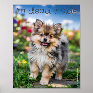 Poster pour animaux de compagnie solitaires et tri