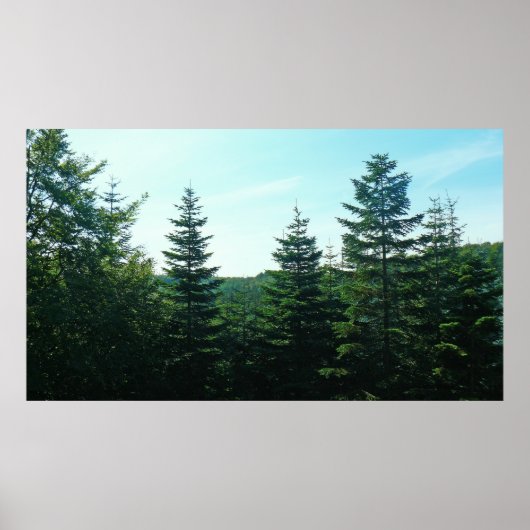 Poster Pour Ce Que L'Oeil Peut Voir (Devant)