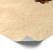 Poster Pour Créer Une Porte (Coin)