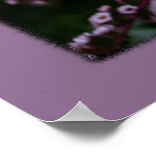 Poster Pour être vous-même blanc gerbera daisy imprimé fl (Coin)