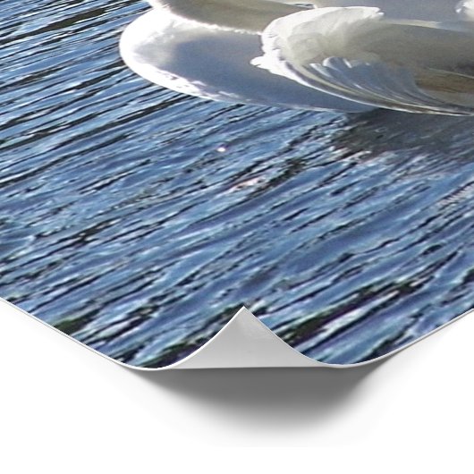 Poster "Pour la vie" (Coin)