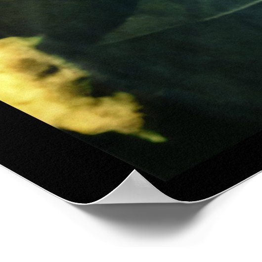 Poster Pour L'Amour Du Singe (Coin)