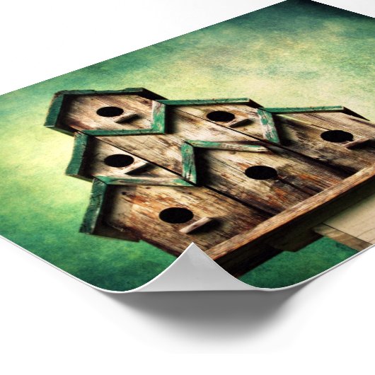 Poster Pour les oiseaux (Coin)