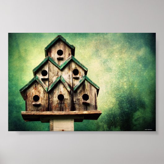 Poster Pour les oiseaux (Devant)