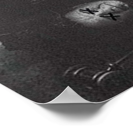 Poster Pour saisir un papillon (Coin)