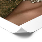 Poster Pourcentage africain (Coin)