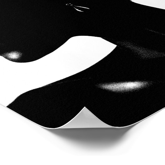 Poster Pourcentage d'ombre (Coin)