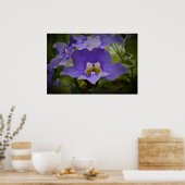 Poster Pourpre et vert, (Cuisine)