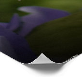 Poster Pourpre et vert, (Coin)