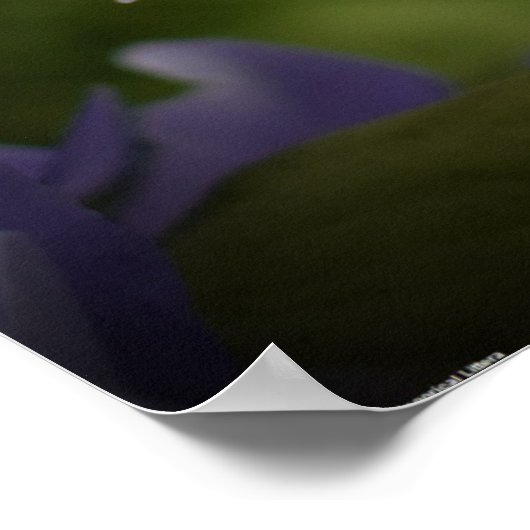 Poster Pourpre et vert, (Coin)